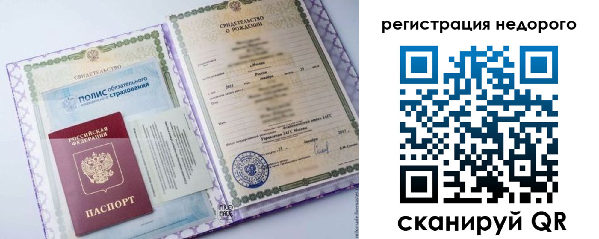 прописка паспорт в Мурманской области